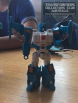 tr-topspin-bot